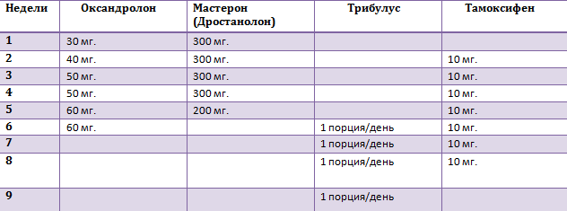 Мастерон отзывы, курс