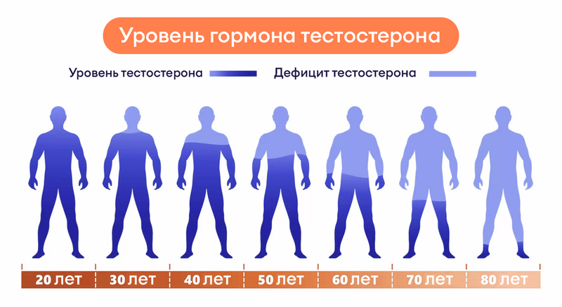 Тестостерон у мужчин